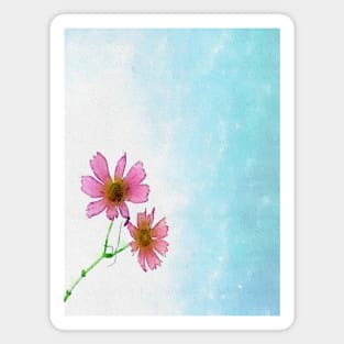 Beautiful pink cosmos flowers falling in the air Magnet